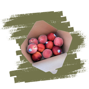 Pêches Nectarines locales 1,5KG