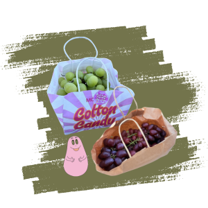 Raisin Barbapapa